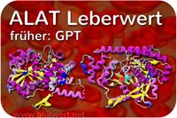 ALAT Wert
