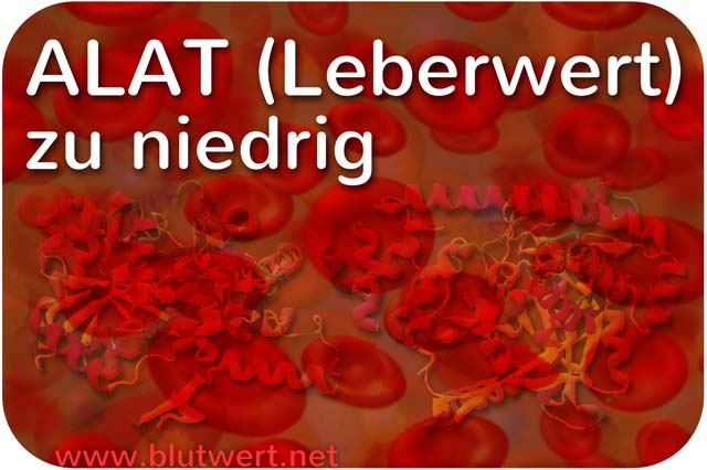 ALAT zu niedrig / vermindert
