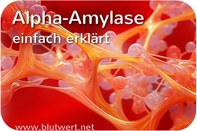 Alpha-Amylase (α-Amylase)