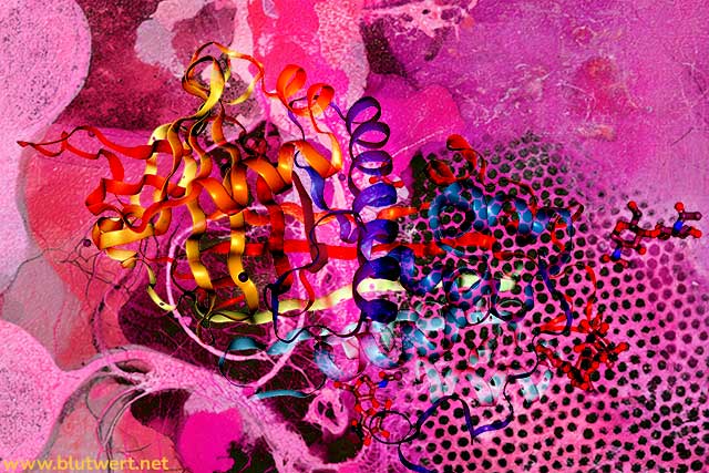 Laborwert Antithrombin