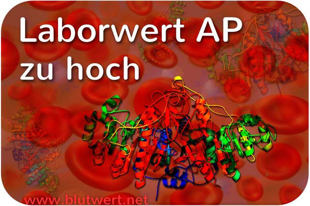 Laborwert AP erhöht / zu hoch