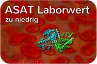 Laborwert ASAT vermindert, zu niedrig