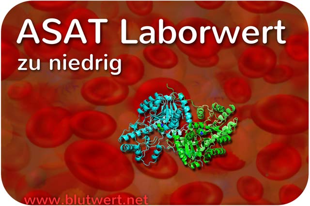 ASAT (Laborwert) zu niedrig