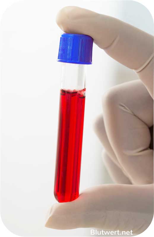 Blut - Erythrozyten im Blutgefäß