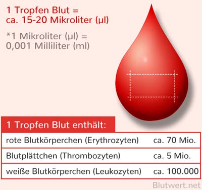 Blutstropfen Zusammensetzung