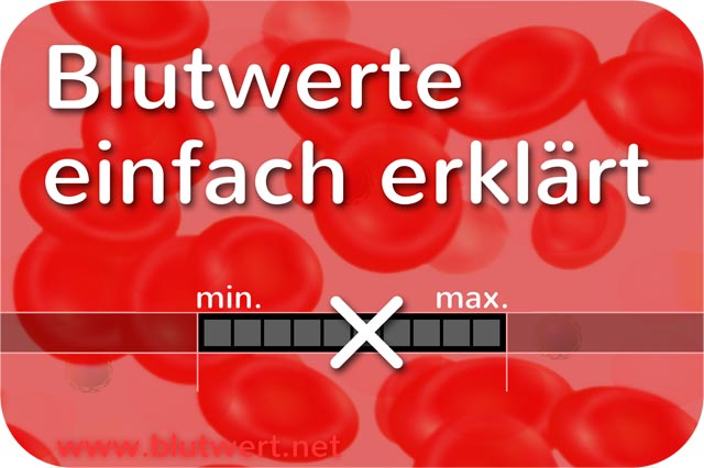 Blutwerte einfach erklärt