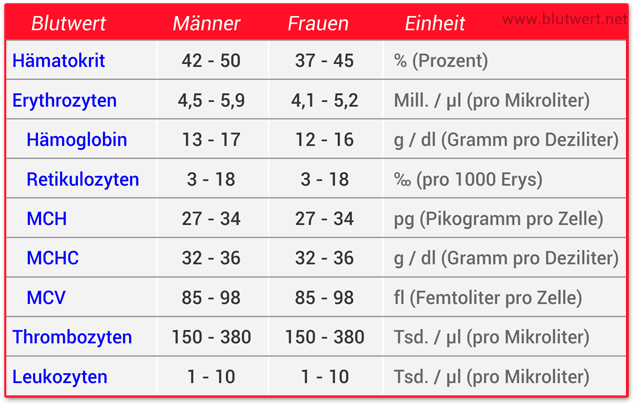 Kleines Blutbild (Kostenloser Ausdruck)