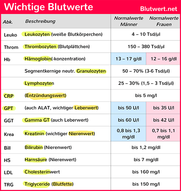 Wichtige Blutwerte