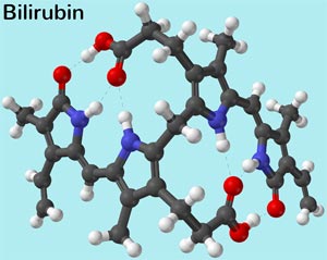 Bilirubin Aufbau