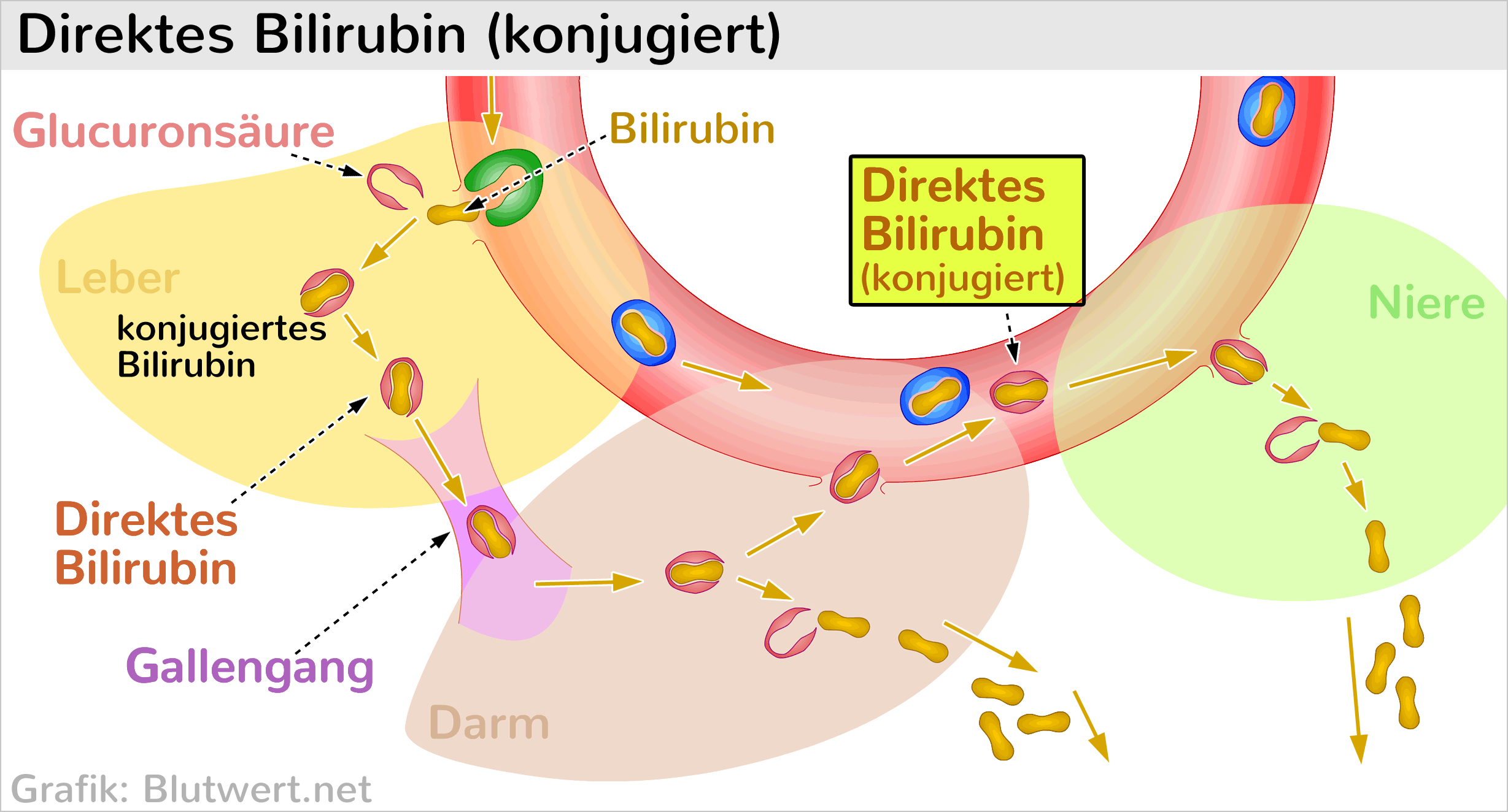 direkt