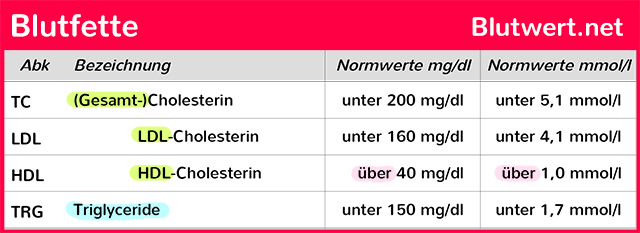 Blutfettwerte: Tabelle der Normwert