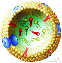 Lipoprotein