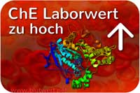 ChE Wert zu hoch
