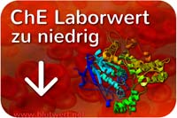 ChE Wert zu niedrig