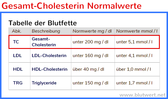 Cholesterin Normalwerte (Blutwert TC)