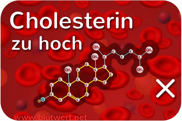 Cholesterin zu hoch