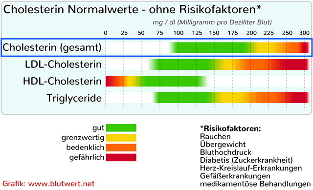 Cholesterin-Normalwerte (Tabelle)