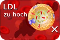 LDL-Cholesterin zu hoch