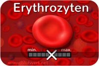 Blutwert Erythrozyten (Ery)