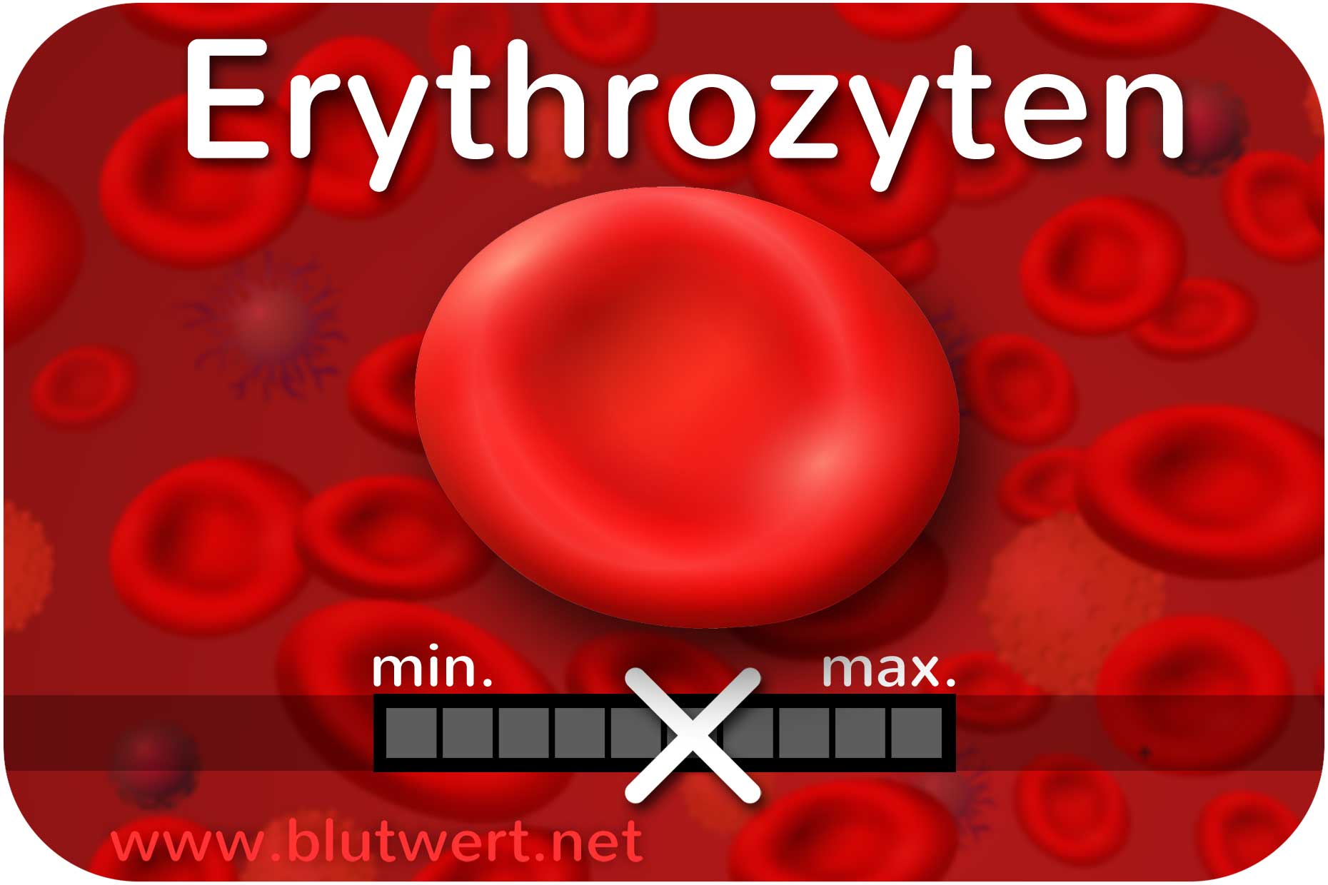 Erythrozyten (rote Blutkörperchen)