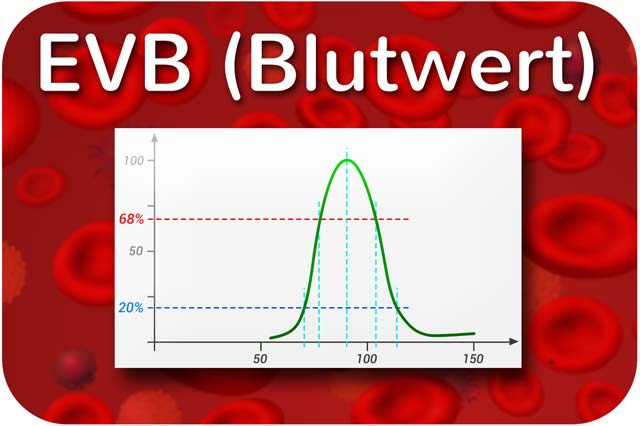 EVB: Erythrozytenverteilungsbreite