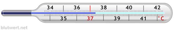 Fieberthermometer