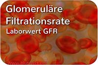 Glomeruläre Filtrationsrate (GFR)