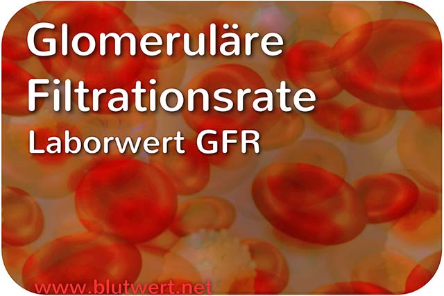Glomeruläre Filtrationsrate (Blutwert GFR)
