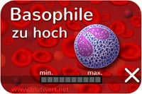 Zu viele Basophile Granulozyten, Blutwert zu hoch