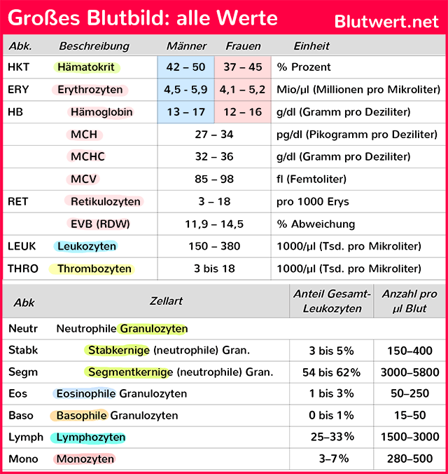 Großes Blutbild: alle Werte