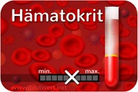 Hämatokrit (Blutwert Hkt)