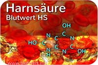 Harnsäure (Blutwert HS)