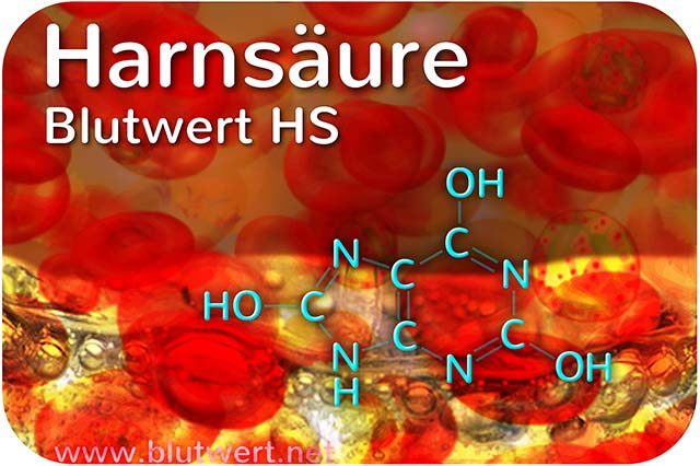 Harnsäure (Blutwert HS)