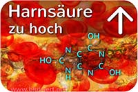 erhöhter Harnsäurespiegel