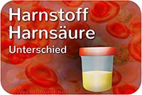 Unterschied zwischen Harnsäure und Harnstoff