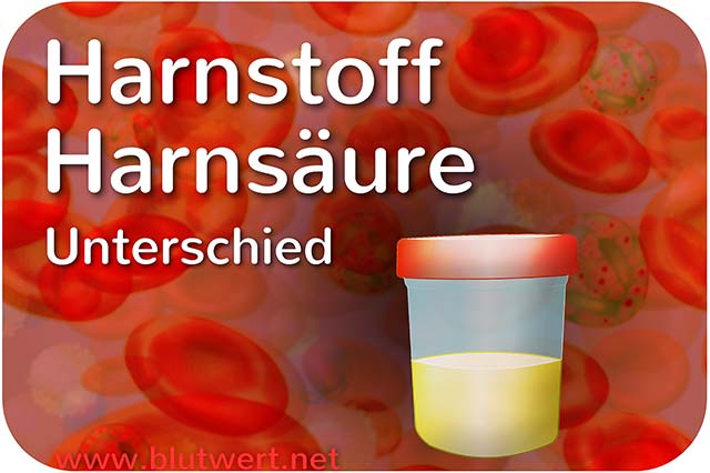 Harnstoff und Harnsäure: Unterschied