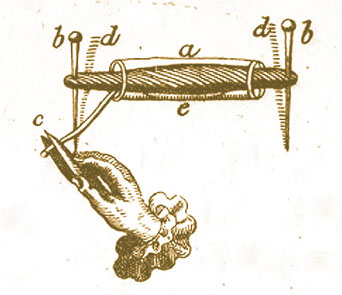 Froschschenkel-Muskel, Zeichnung von J. Swammerdam