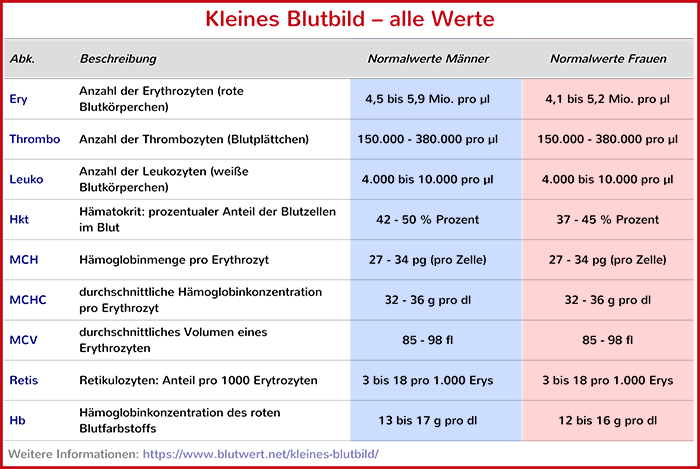 Kleines Blutbild: alle Werte