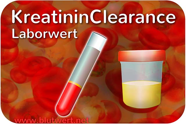 Kreatinin-Clearance