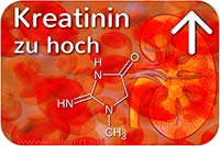 Zu viel Kreatinin? Blutwert Krea senken