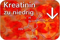 Zu wenig Kreatinin, Blutwert Crea vermindert, zu niedrig
