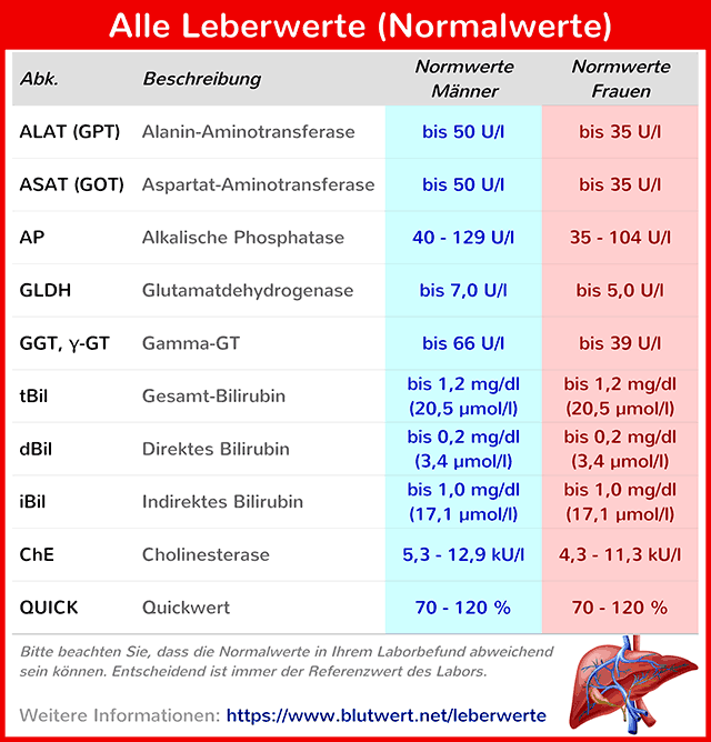 Leberwerte Tabelle