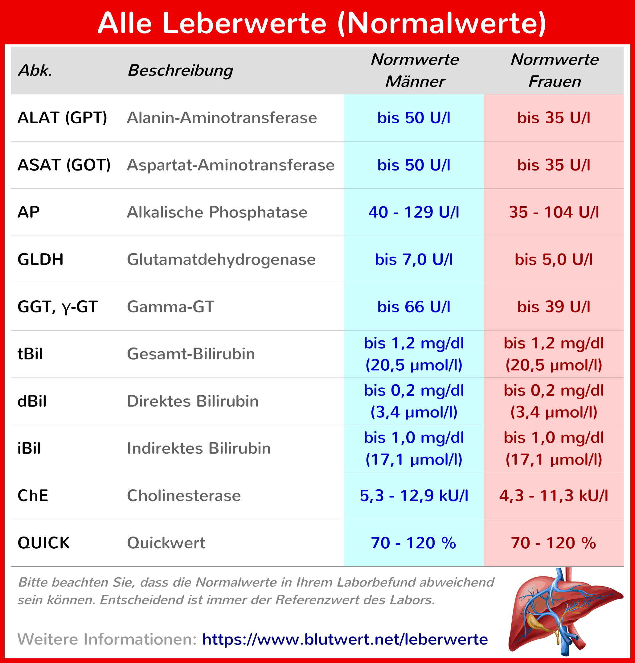 Medizinische Abkürzung Für Leberwerte Medizinische Abkürzung Für Leberwerte