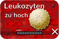 Zu viele Leukozyten, Blutwert Leuko erhöht, zu hoch
