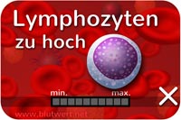 Zu viele Lymphozyten, Blutwert zu hoch