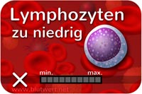 Zu wenige Lymphozyten, Blutwert zu niedrig