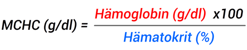 Blutwert Durchschnittliche Hämoglobinkonzentration (MCHC)