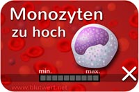 Monozyten zu hoch