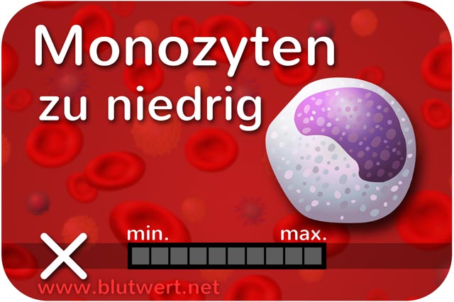 <strong>Monozyten zu niedrig</strong>