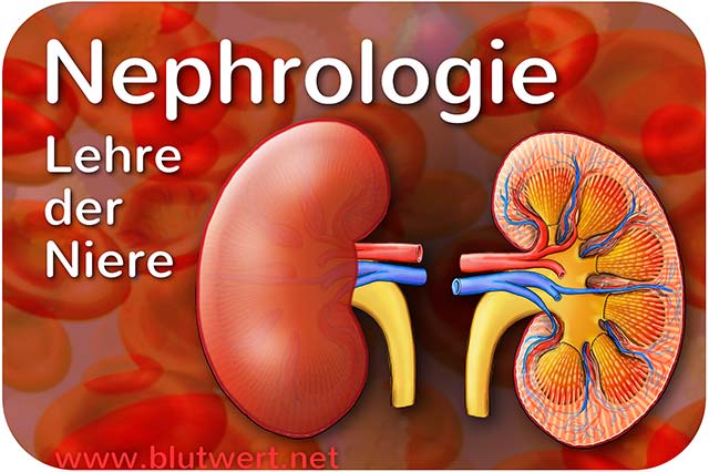 Nephrologie